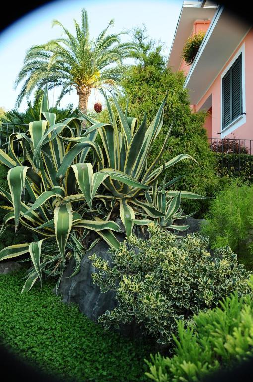 Residence La Cycas Villammare Buitenkant foto