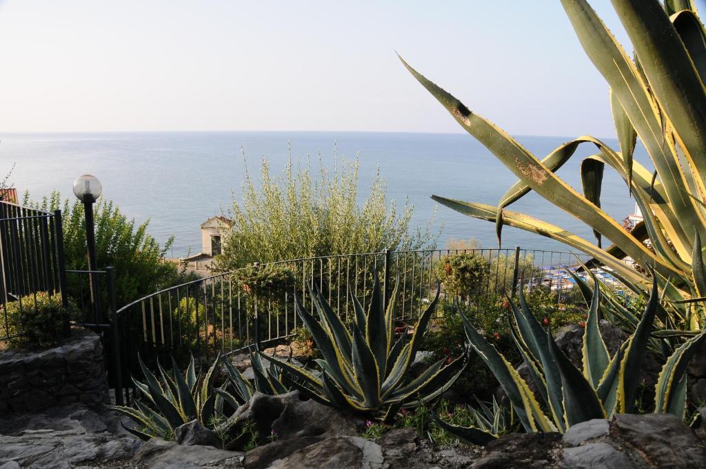 Residence La Cycas Villammare Buitenkant foto